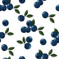 Natural delicious juicy organic berries seamless pattern with blueberries, vector color illustration on white background, isolated