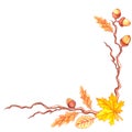 Natural design collection - corner watercolor element made of acorns, oak leaves and branches. Autumn forest decoration. Happy Royalty Free Stock Photo