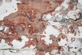 Natural destroyed stone surface. Vintage rustic pattern. Brown background. Old shabby cracked stucco. Dirty wall, grunge texture. Royalty Free Stock Photo