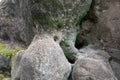 Natural detail of rock, stone and boulder.