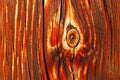 Natural details of sun dried wood Royalty Free Stock Photo