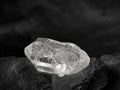 Natural diamond nestled on black coal background Royalty Free Stock Photo