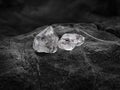 Natural diamond nestled on black coal background Royalty Free Stock Photo