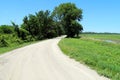 Natural dirt road leading into farmland near meadow glade Royalty Free Stock Photo