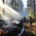 Natural disaster, forest fires in Europe, Greece and America, heat wave leads to forest fires and destruction