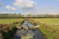 A natural ditch in a green meadow in the dutch countryside in springtime