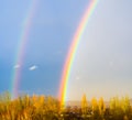 Natural double rainbow over green trees, summer city landscape