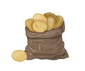 Natural drawing of potato tubers in burlap bag. Gathered raw tuberous food crops. Ripe fresh organic vegetables isolated