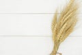 Natural Dried Wheat Bunch On Rustic White Wood Plank Background.