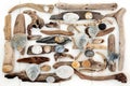 Natural Driftwood, Seashell and Rock Abstract