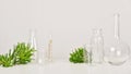 Natural drug research banner, Organic and scientific extraction in glassware, Alternative green herb medicine, Natural skincare Royalty Free Stock Photo