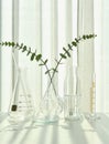 Natural drug research, Plant extraction in scientific glassware, Alternative green herb medicine Royalty Free Stock Photo