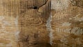 Natural Dry Flat Wood Planks Surface Background