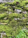 Dry Stone Wall Royalty Free Stock Photo