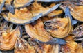 Natural Drying of salted fish, Preserve dry fish, Brown Grilled fish