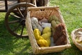 Natural dyed wool in basket