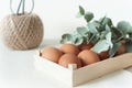 Natural Easter composition w Royalty Free Stock Photo