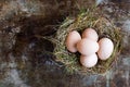 Natural easter eggs in a birds nest, happy easter concept background Royalty Free Stock Photo