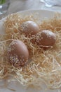 Natural easter eggs with floral decor
