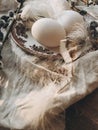 Natural Easter eggs, vintage plate, feathers, pussy willow on rustic wooden table in sunny light Royalty Free Stock Photo