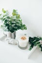 Natural eco home decor with green leaves and burning candle on t Royalty Free Stock Photo