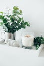 Natural eco home decor with green leaves and burning candle on t Royalty Free Stock Photo