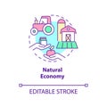 Natural economy concept icon