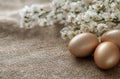 Natural eggs arranged on a burlap cloth with delicate white flowers in a sunlit setting, creating a rustic and Royalty Free Stock Photo