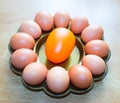 Natural eggs on a tray ready for easter painting Royalty Free Stock Photo