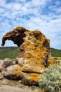 Natural Elephant Rock Royalty Free Stock Photo