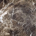 Natural Emperador Dark marble texture