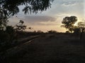 Natural environment around a railway track during sunset