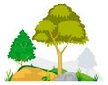 Natural environment. Growing trees and rocks. Hill landscape