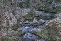 Natural environment of the river of Mula and Pliego, Murcia