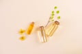 Natural essential oils, dried flowers and fresh leaves in still life compositions. Royalty Free Stock Photo