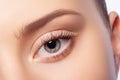 Natural eye makeup Royalty Free Stock Photo