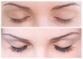 Natural and false eyelashes before and after. Royalty Free Stock Photo