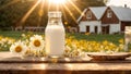 Natural farm cow\'s milk glass bottle , outdoors, flowers protein Royalty Free Stock Photo