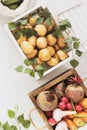 Wooden boxes full of fresh organic vegetables from the local market on a white table Royalty Free Stock Photo