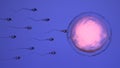 Natural fertilization of human egg by sperm cell, spermatozoons, 3D-rendering Royalty Free Stock Photo