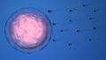 Natural fertilization of human egg by sperm cell, spermatozoons, 3D-rendering