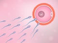 Natural fertilization, sperm and egg cell Royalty Free Stock Photo