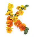 natural flower arrangements with yellow orange real fresh flowers letter K