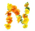 natural flower arrangements with yellow orange real fresh flowers letter N