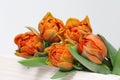 Natural flowers tulips orange colored on white wooden background. Five tulips Royalty Free Stock Photo