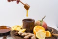 Natural flu and cold remedy - orange and lemon fruit, fresh ginger, honey. Royalty Free Stock Photo