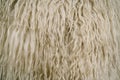 Natural fluffy fur sheep wool skin texture. Sheepskin Background Royalty Free Stock Photo