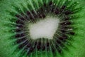 Natural food background of juicy kiwi fruit Royalty Free Stock Photo