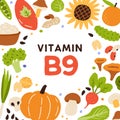 Natural food card with B9 vitamin rich nutrition. Organic healthy nutrients enriched with folate. Colorful flat vector