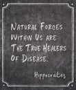 Natural forces Hippocrates